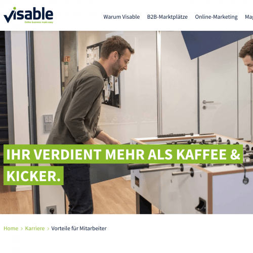 Visable Karriere